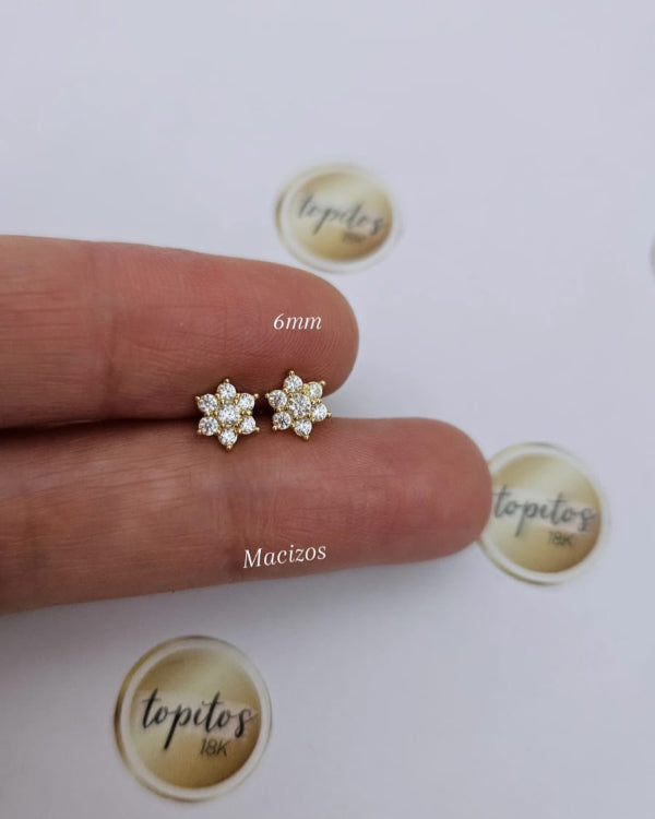 Topos Flores 6mm zircones, caja maciza